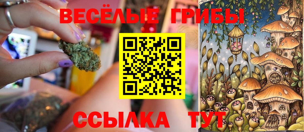 Галлюциногенные грибы прущие грибы Кемерово